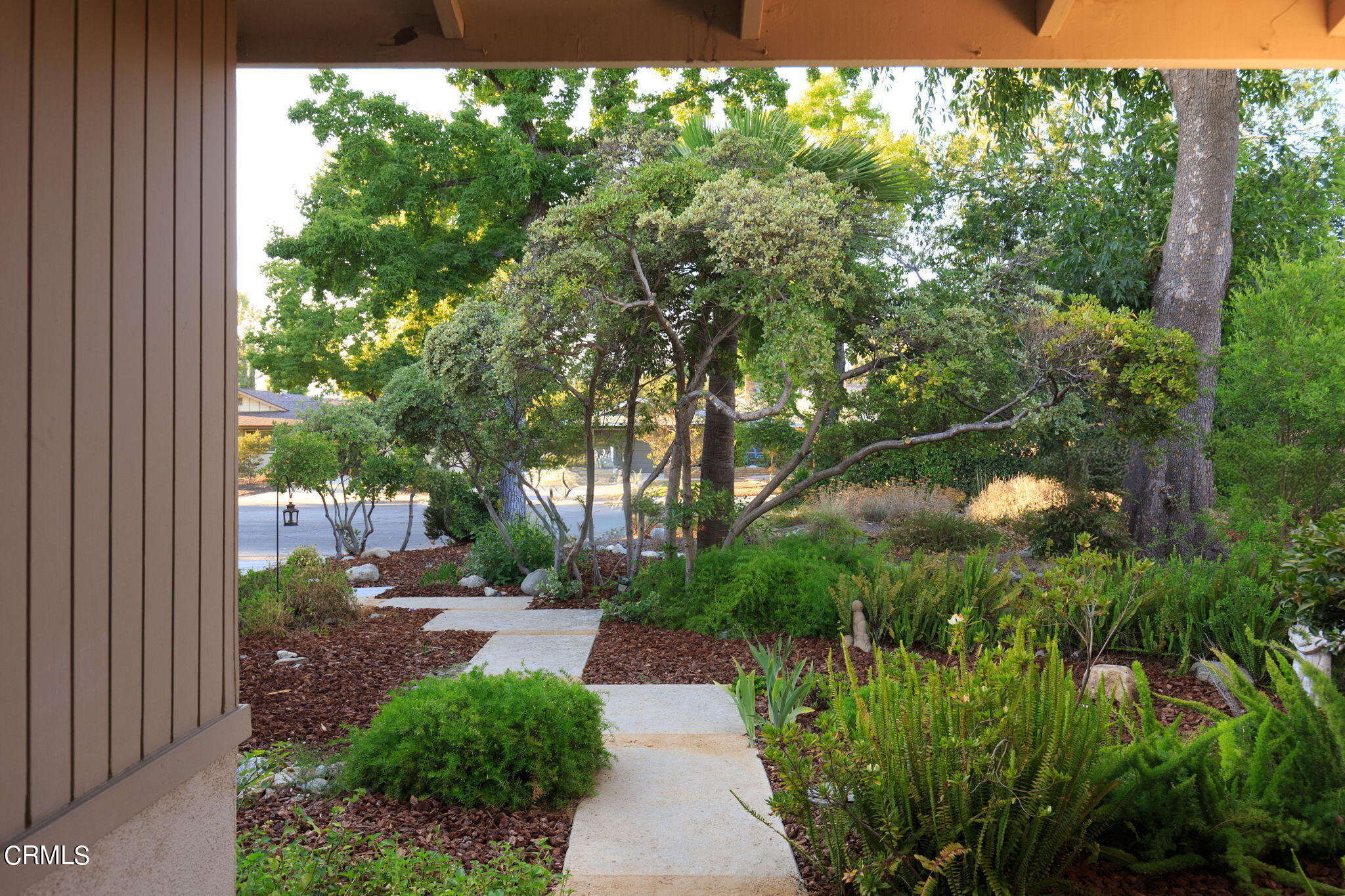 a view of a yard with plants and large trees