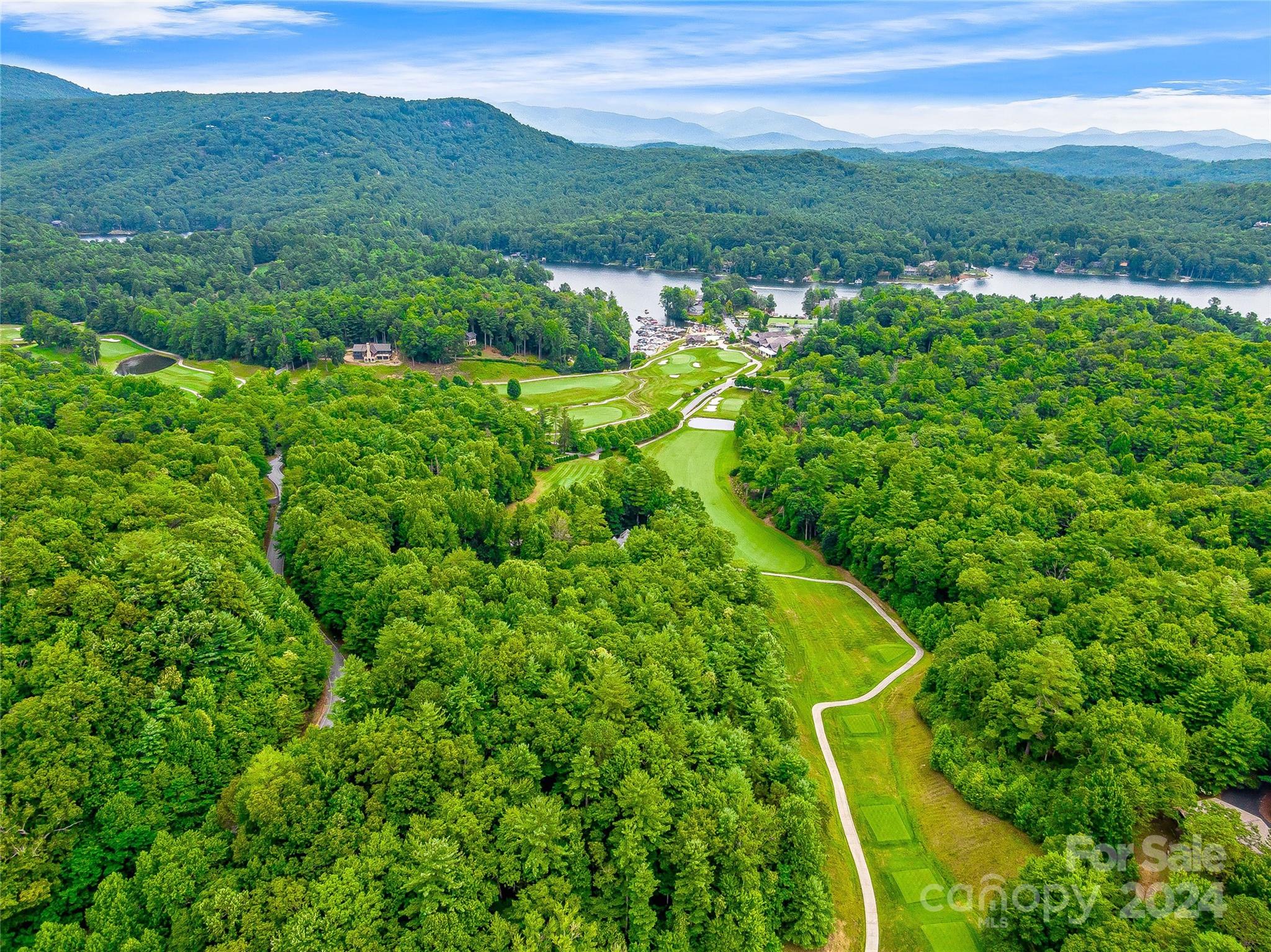 a view of a city with lush green forest