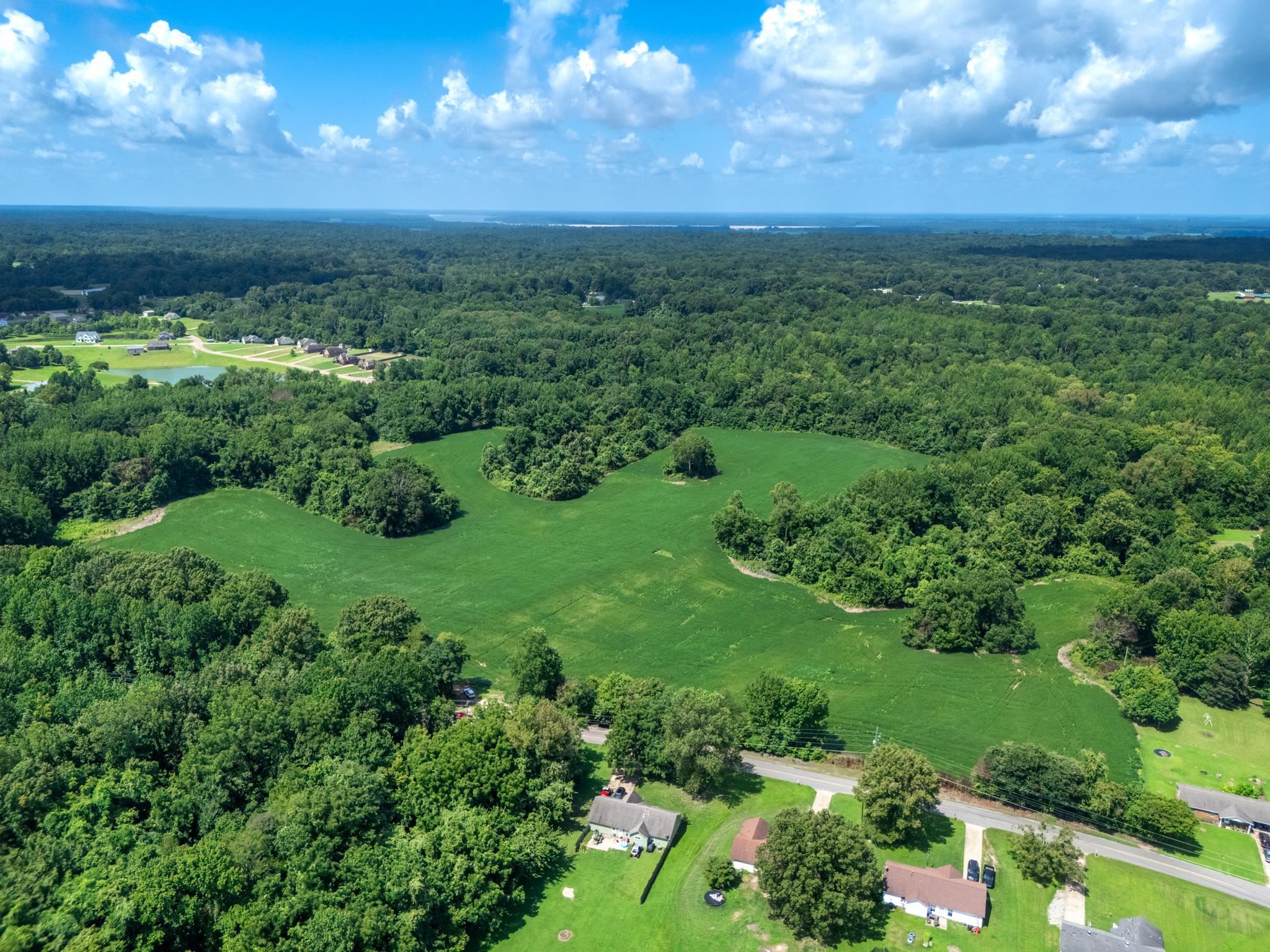 a view of a city with lush green forest