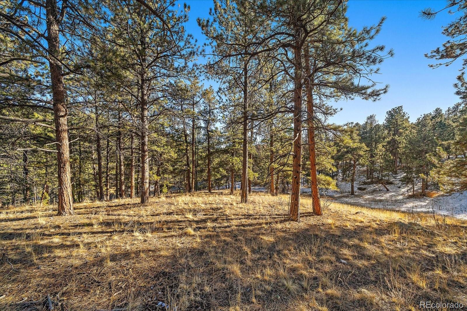 a view of outdoor space with trees