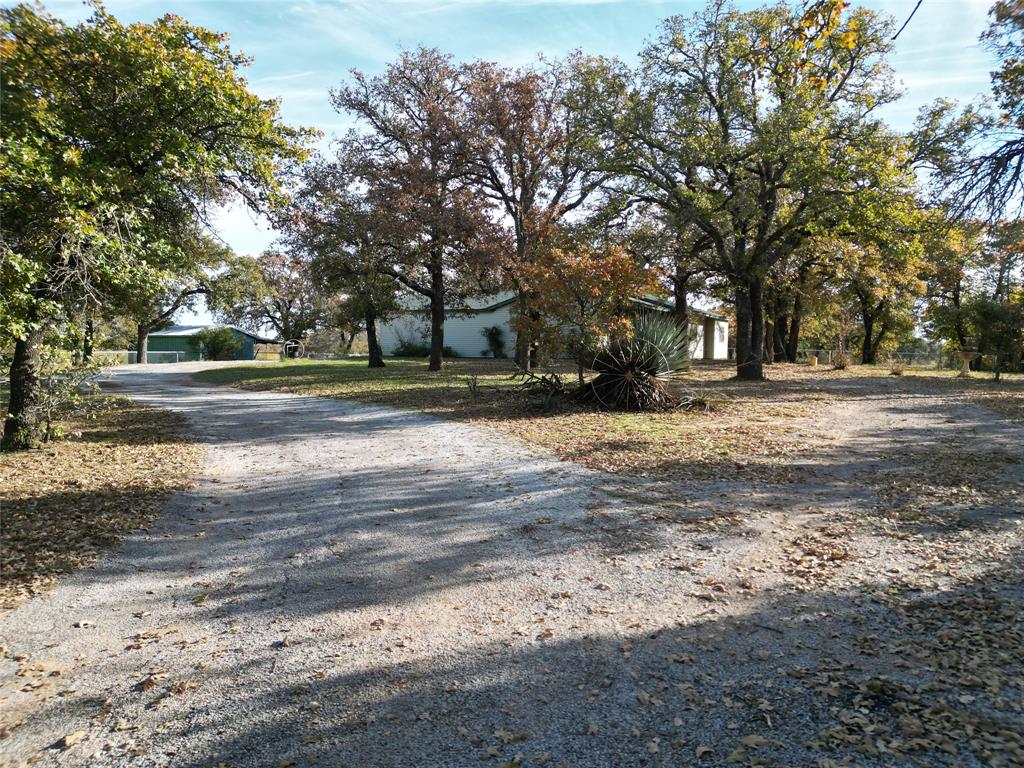 a view of dirt yard with a large trees