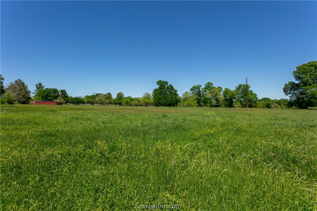 a view of a grassy field with trees