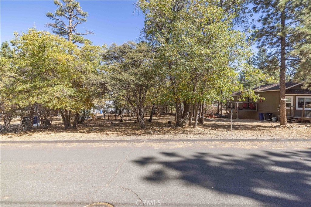 a view of dirt yard with a large tree