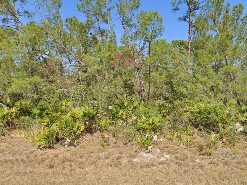 a view of a yard with a tree