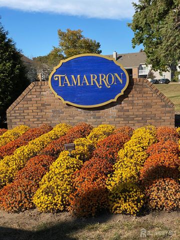 $438,000 | 7304 Tamarron Drive | Princeton Meadows