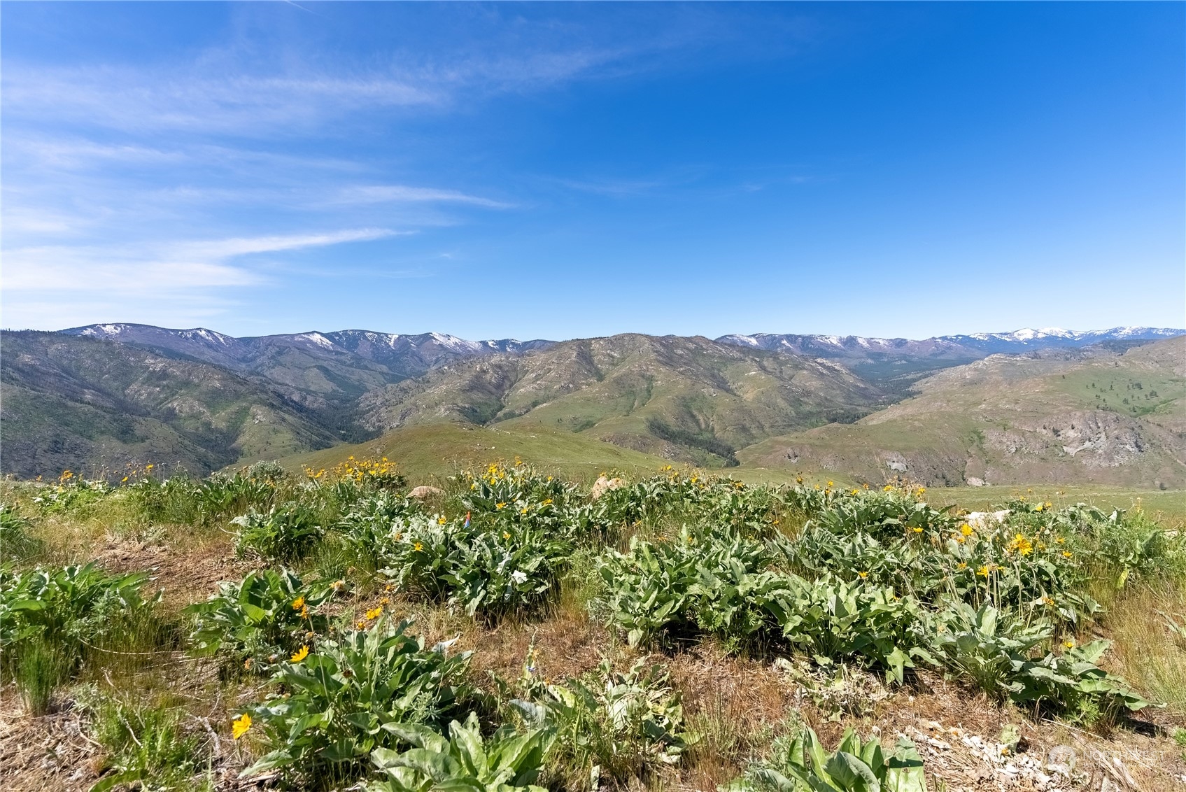 a view of mountain with trees