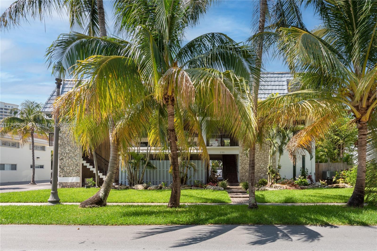 a view of a park with palm trees