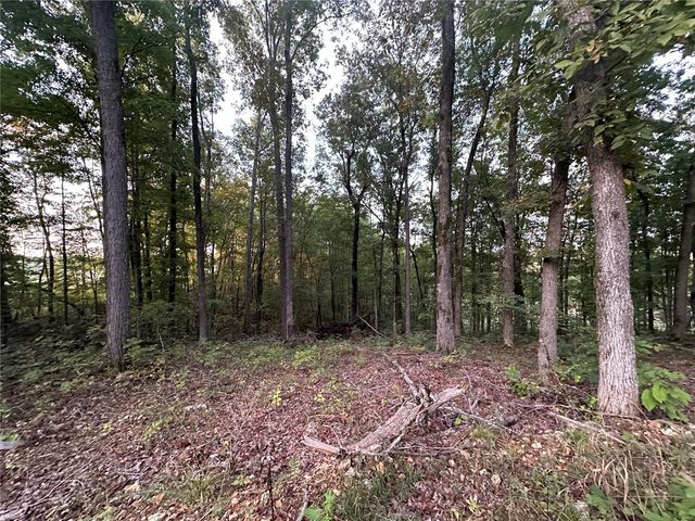 $41,000 | 0 East E Highway | Black River Township - Butler County