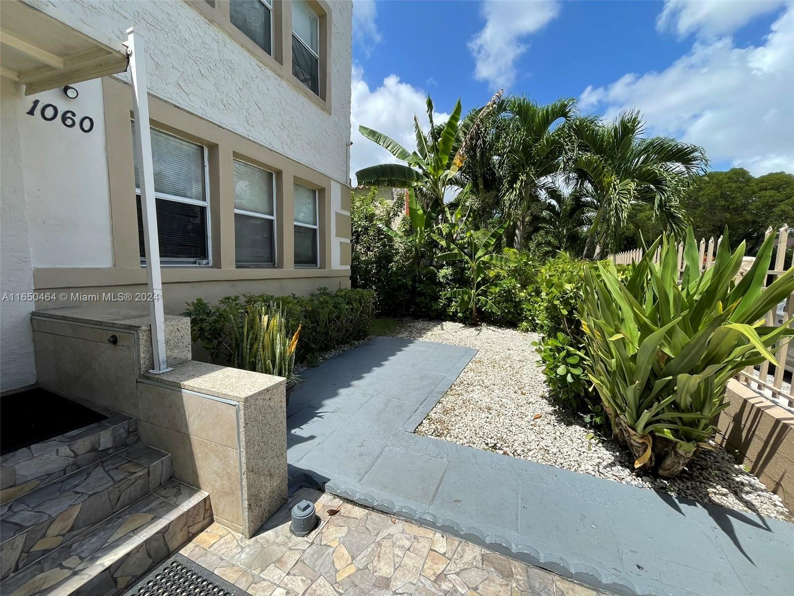 a view of a backyard with plants