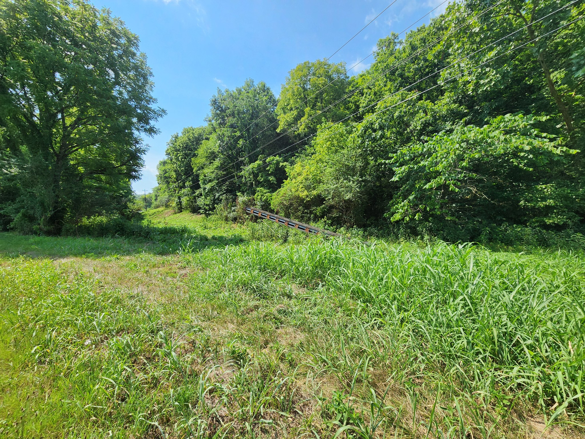 a view of outdoor space and yard