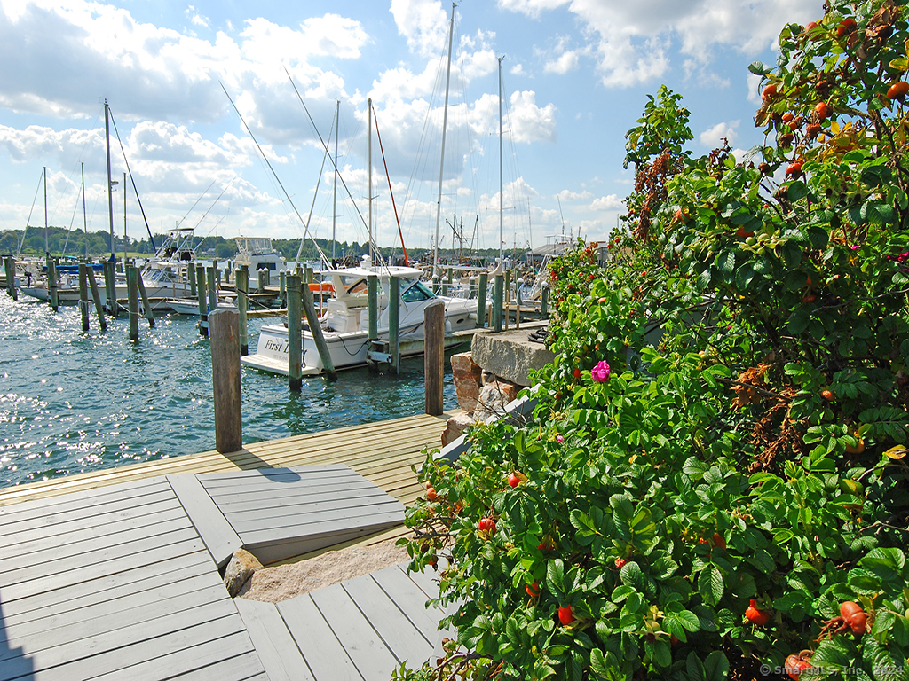 a view of outdoor space yard and patio