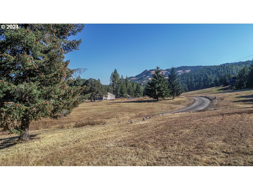 a open area with mountains in the background