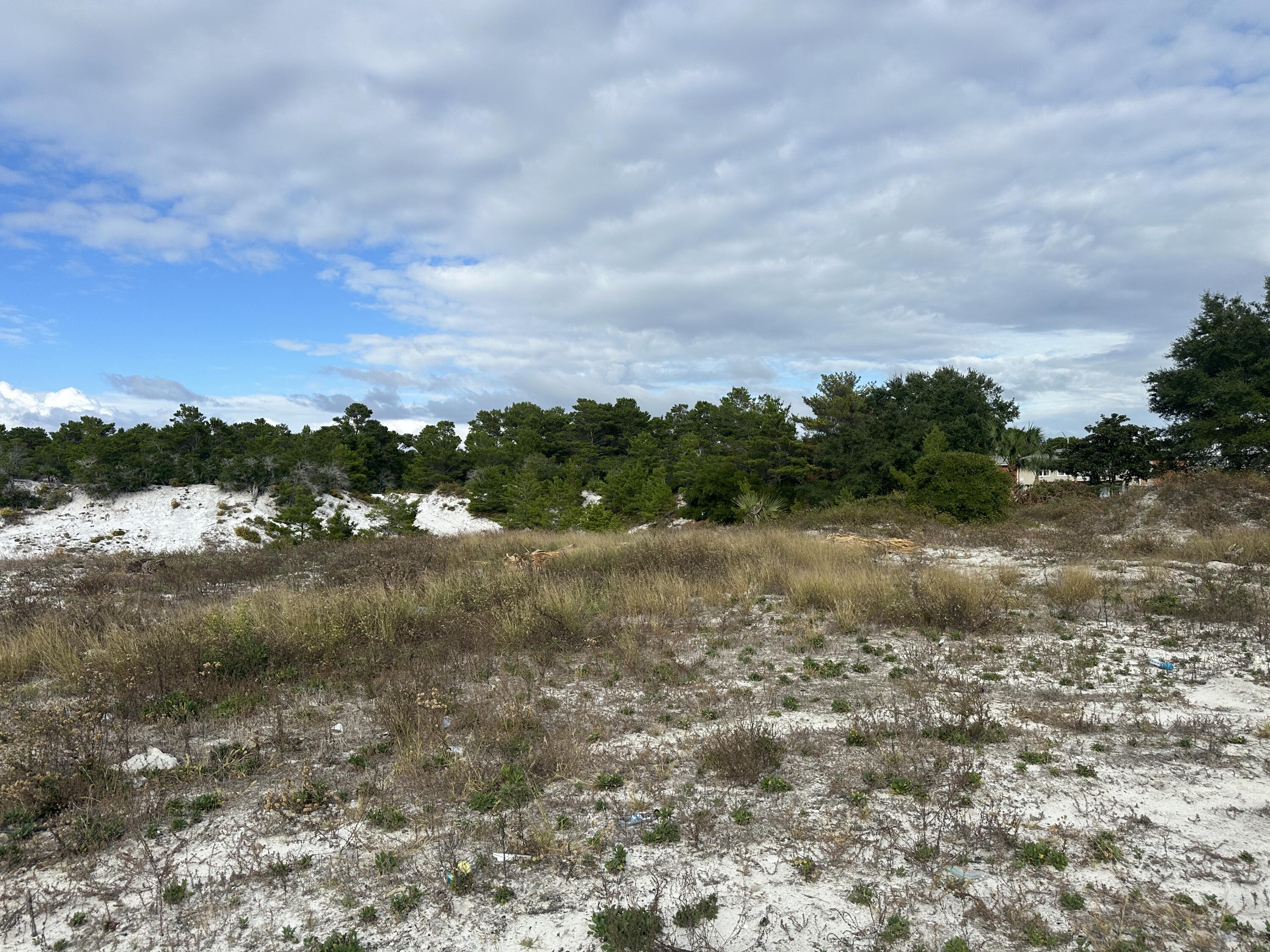 a view of a field of grass and trees