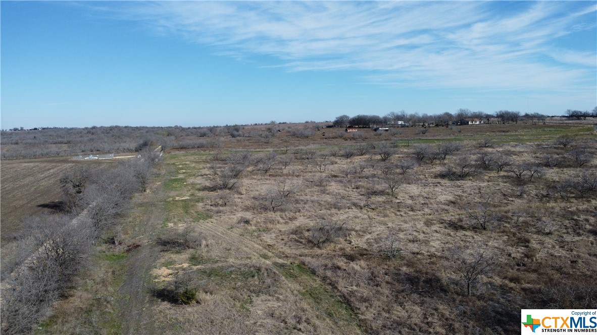 a view of a field with trees in background