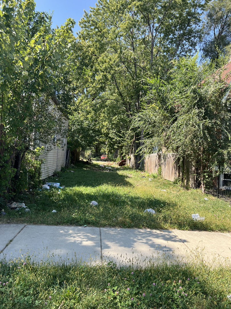 a view of a yard with plants and trees