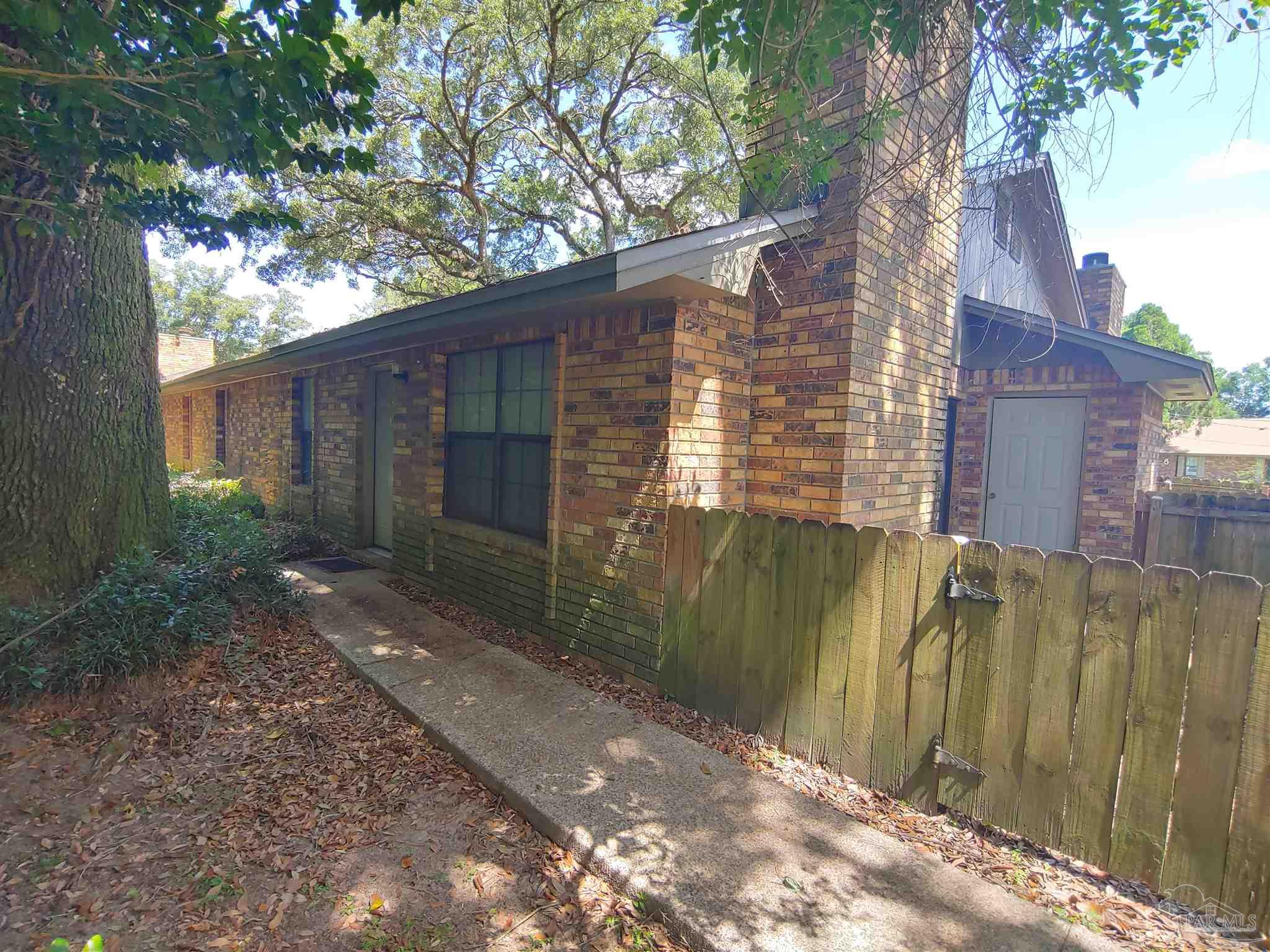 a view of a backyard with plants and large trees