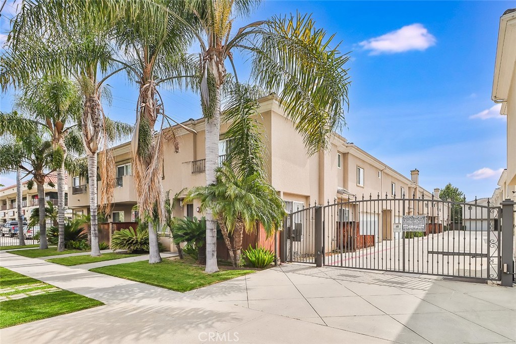 a view of a palm trees front of house