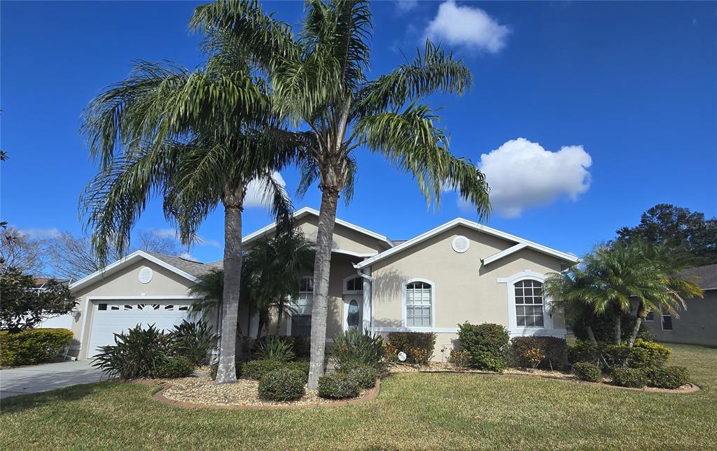 a view of house with a yard and palm trees