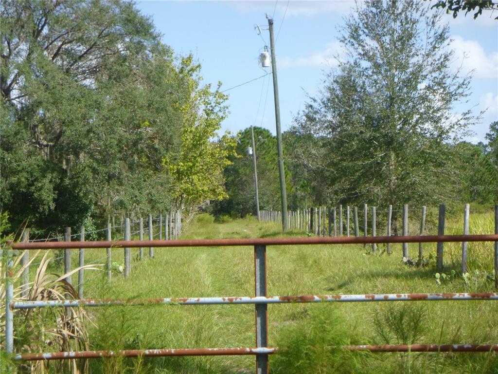 a view of a park