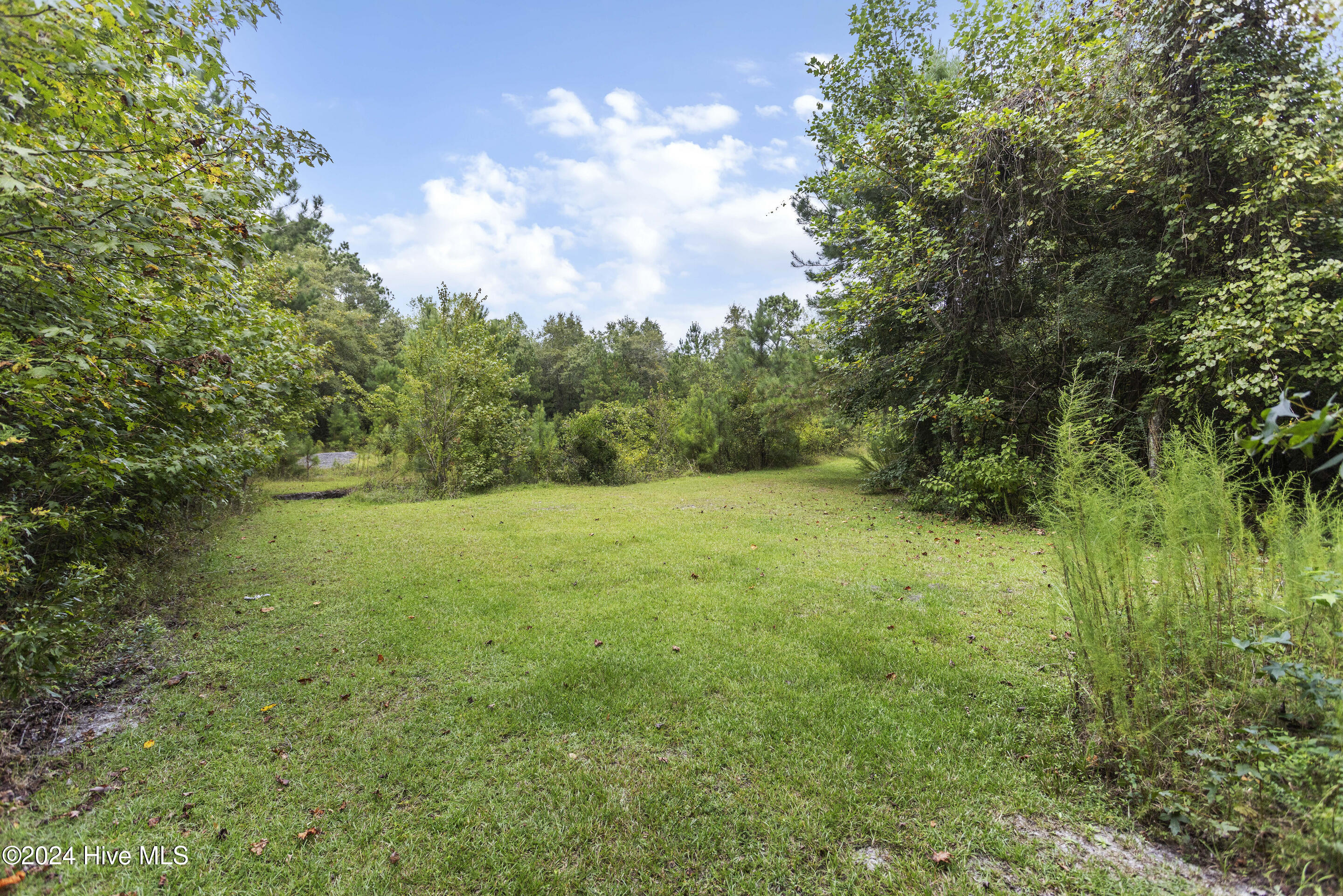 440 Carver Moore Rd path to pond