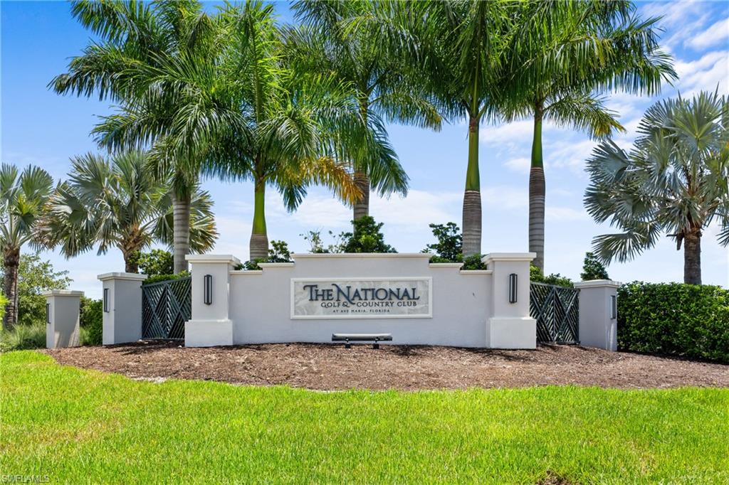 a view of outdoor space with palm trees