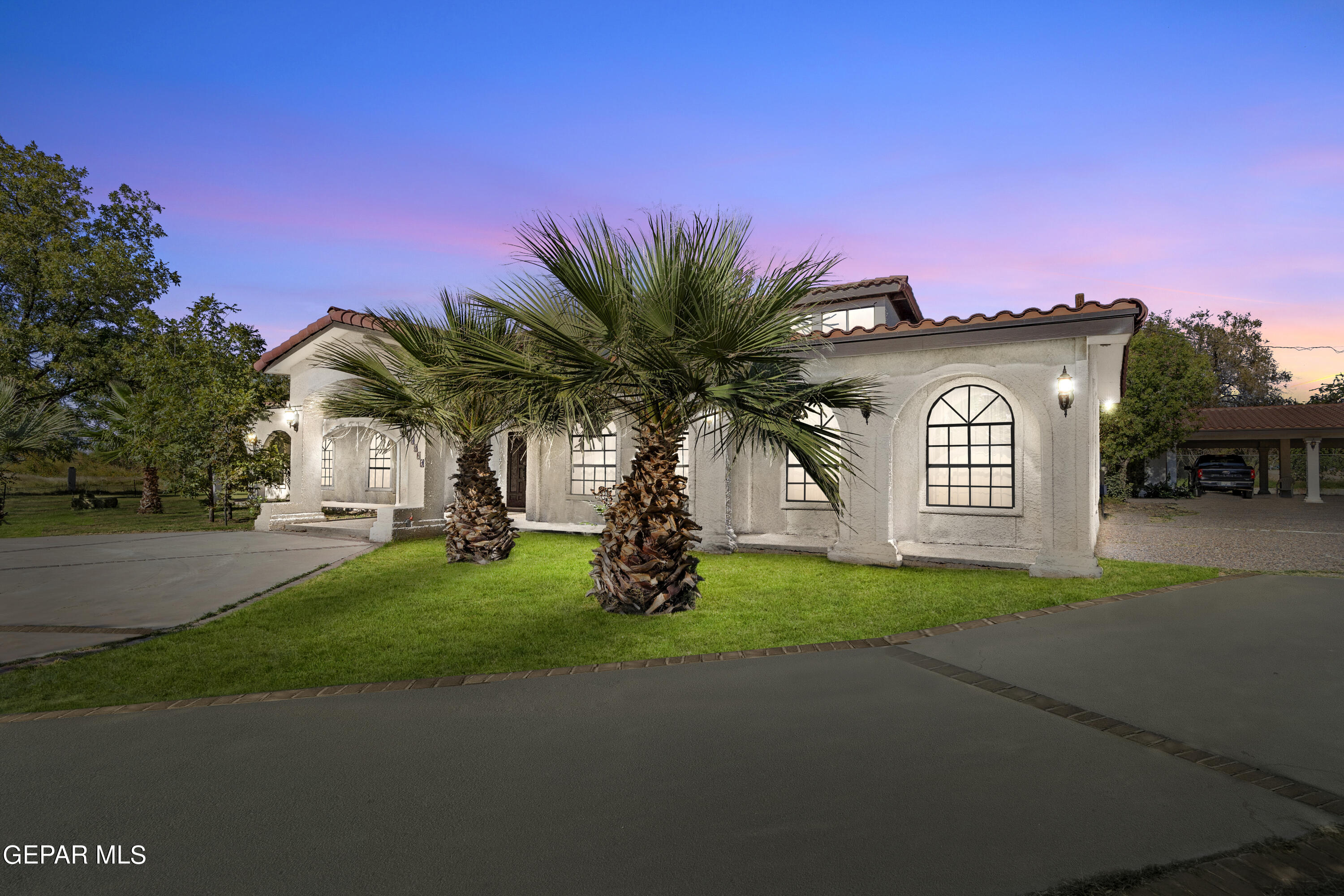 a palm tree sitting in front of a house with a big yard