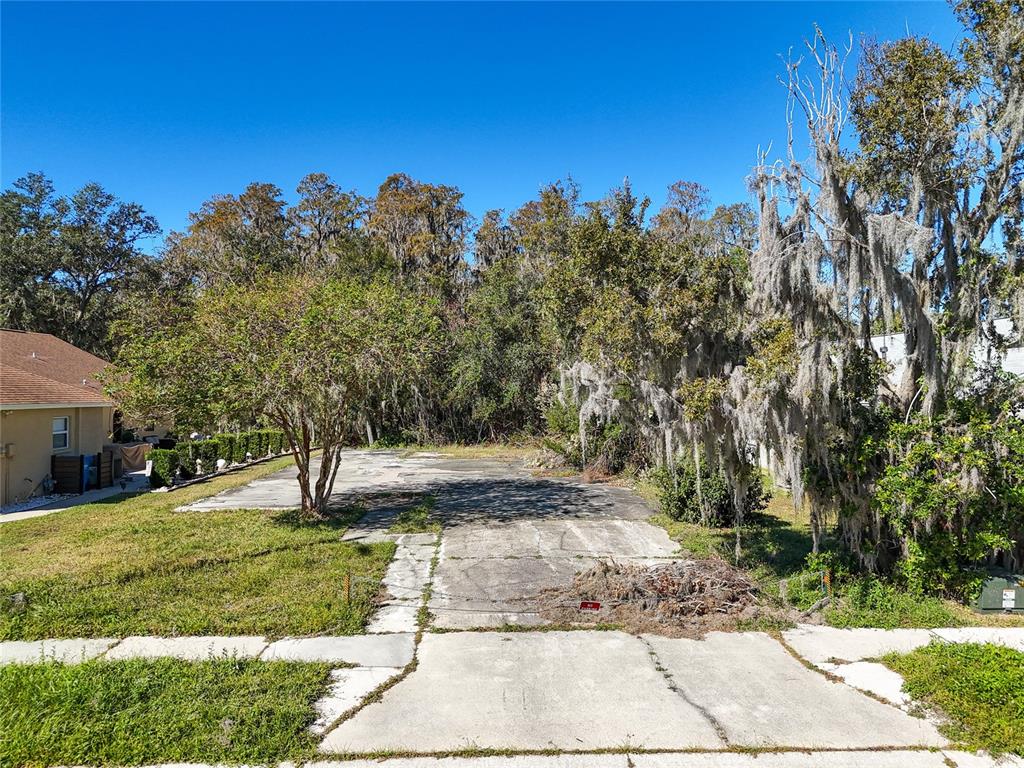 a view of a yard with trees in the background