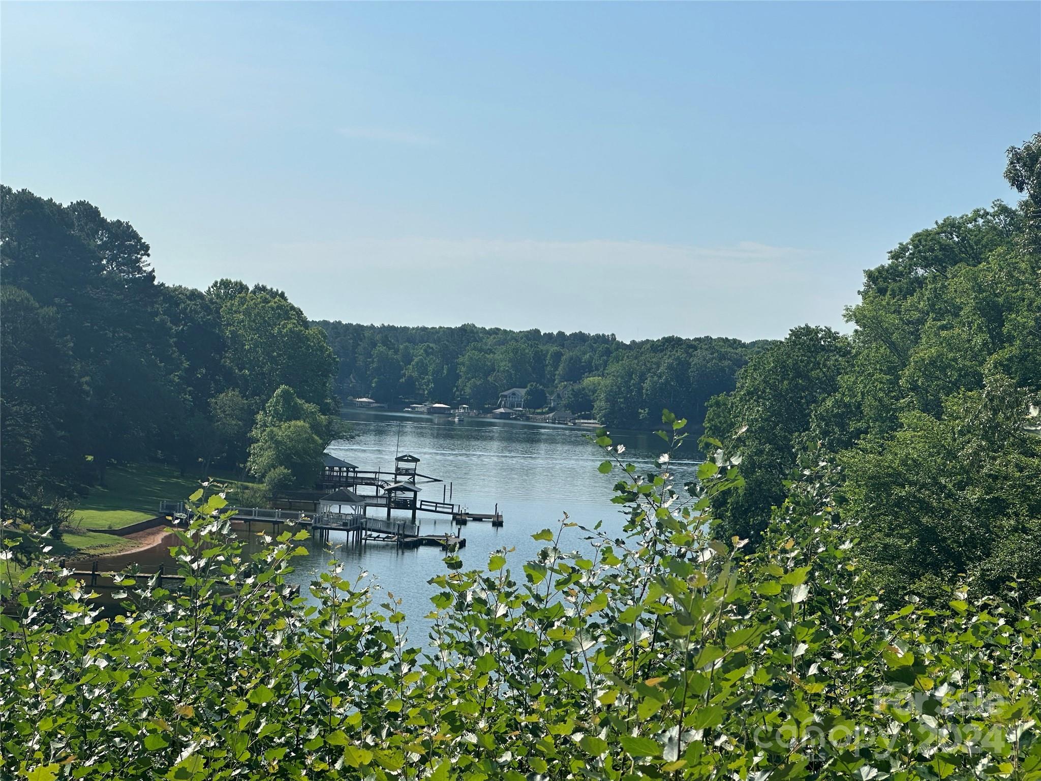 a view of a lake in middle of forest