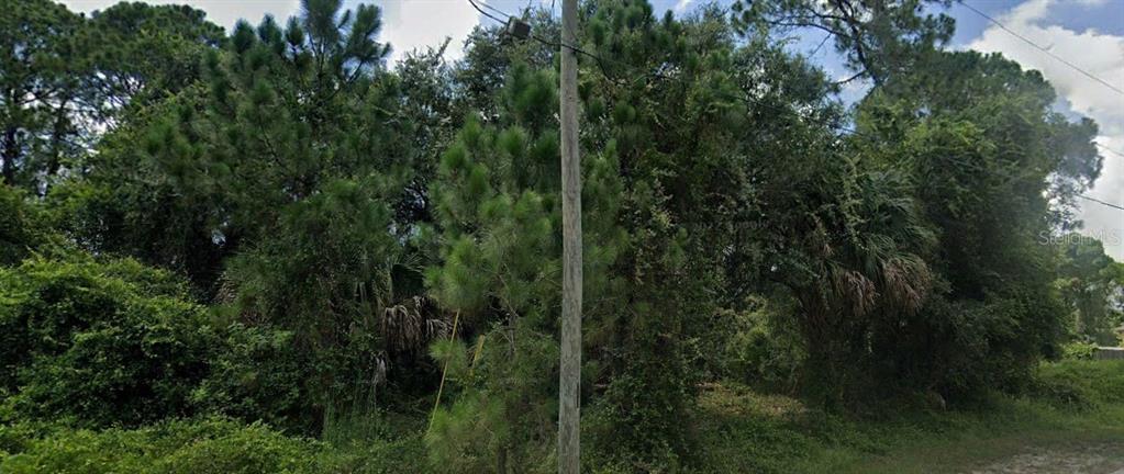 a view of a lush green forest with lots of trees