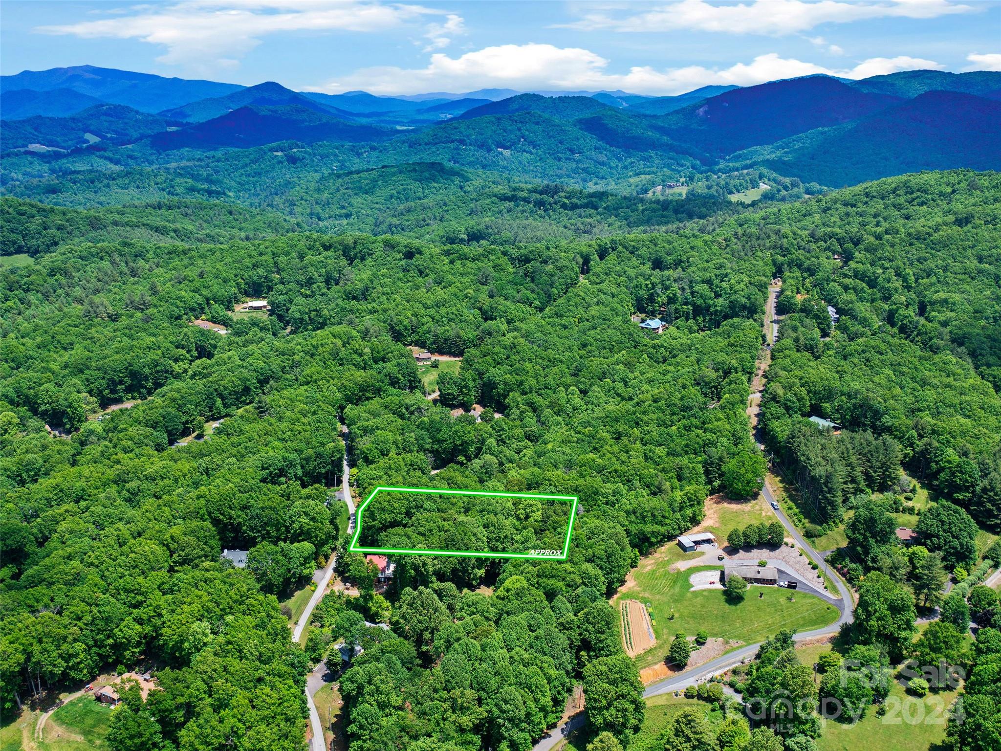 a view of a lush green hillside and a mountain