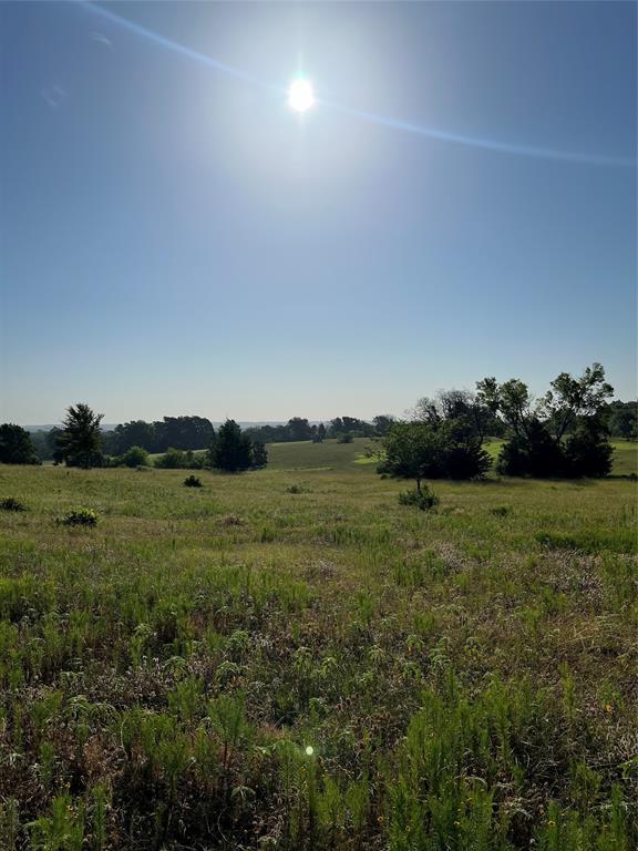 a view of grassy field with mountain