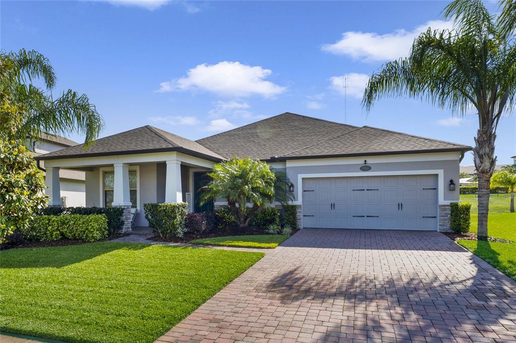 a view of a yard in front of a house with plants and palm trees