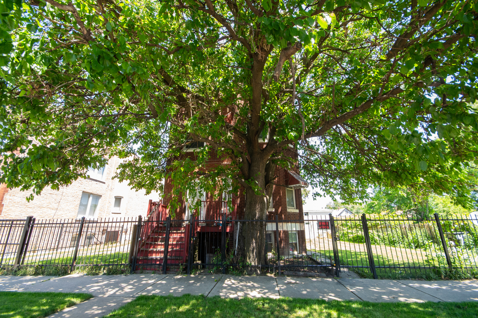 a view of a house with a tree in the yard