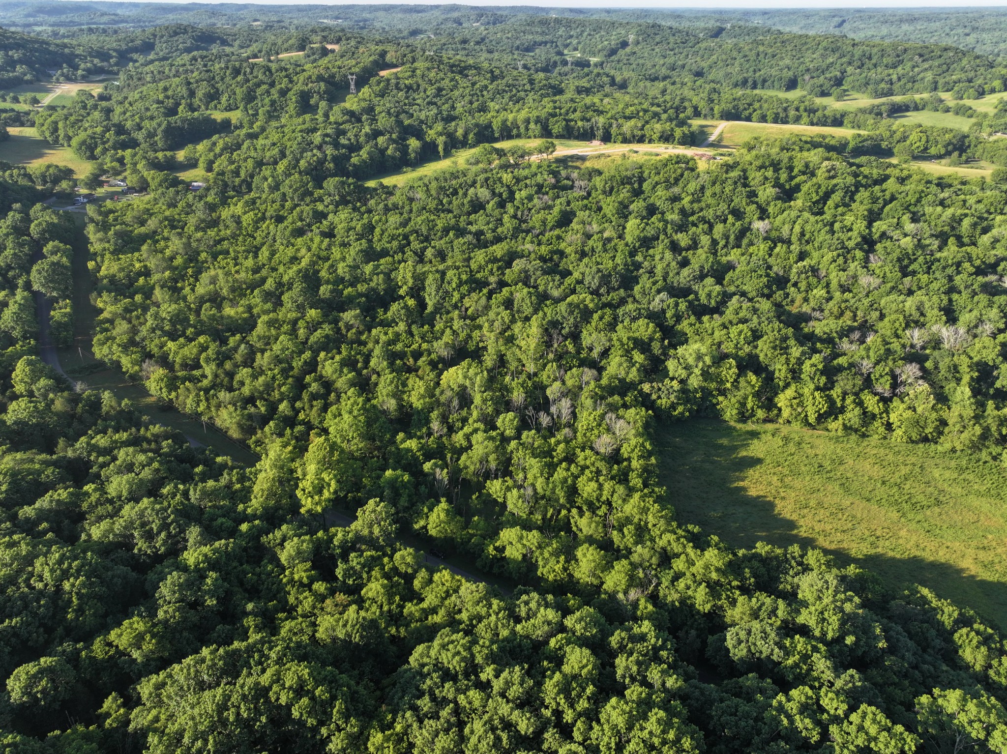 a view of a green field