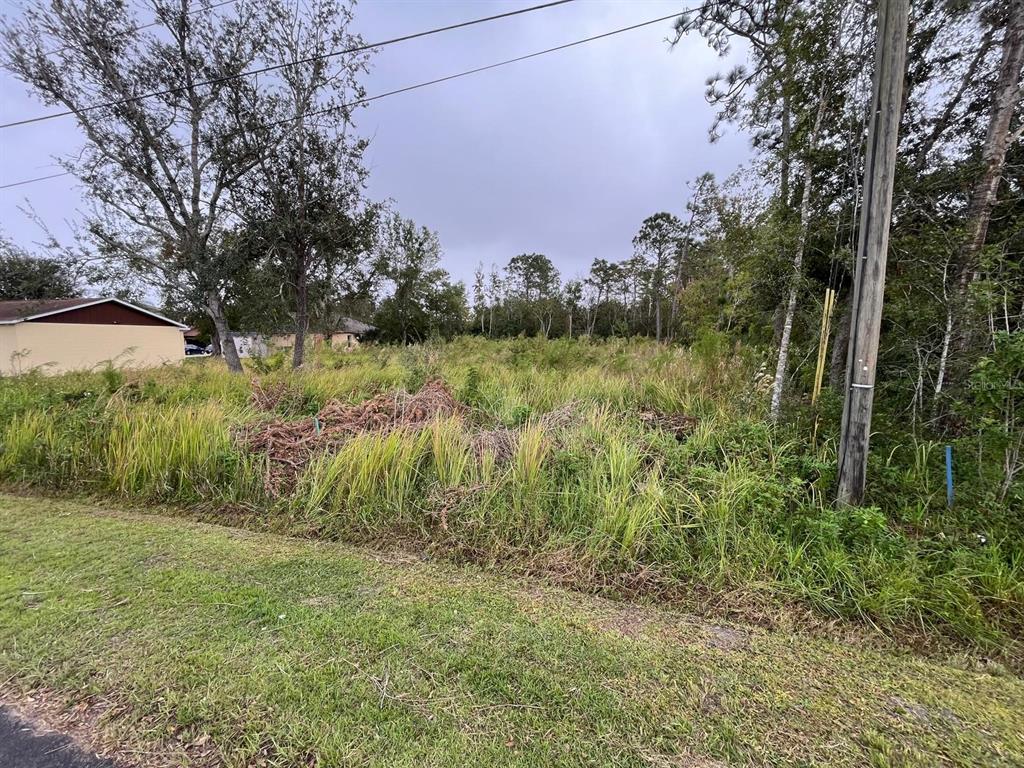 a view of a garden