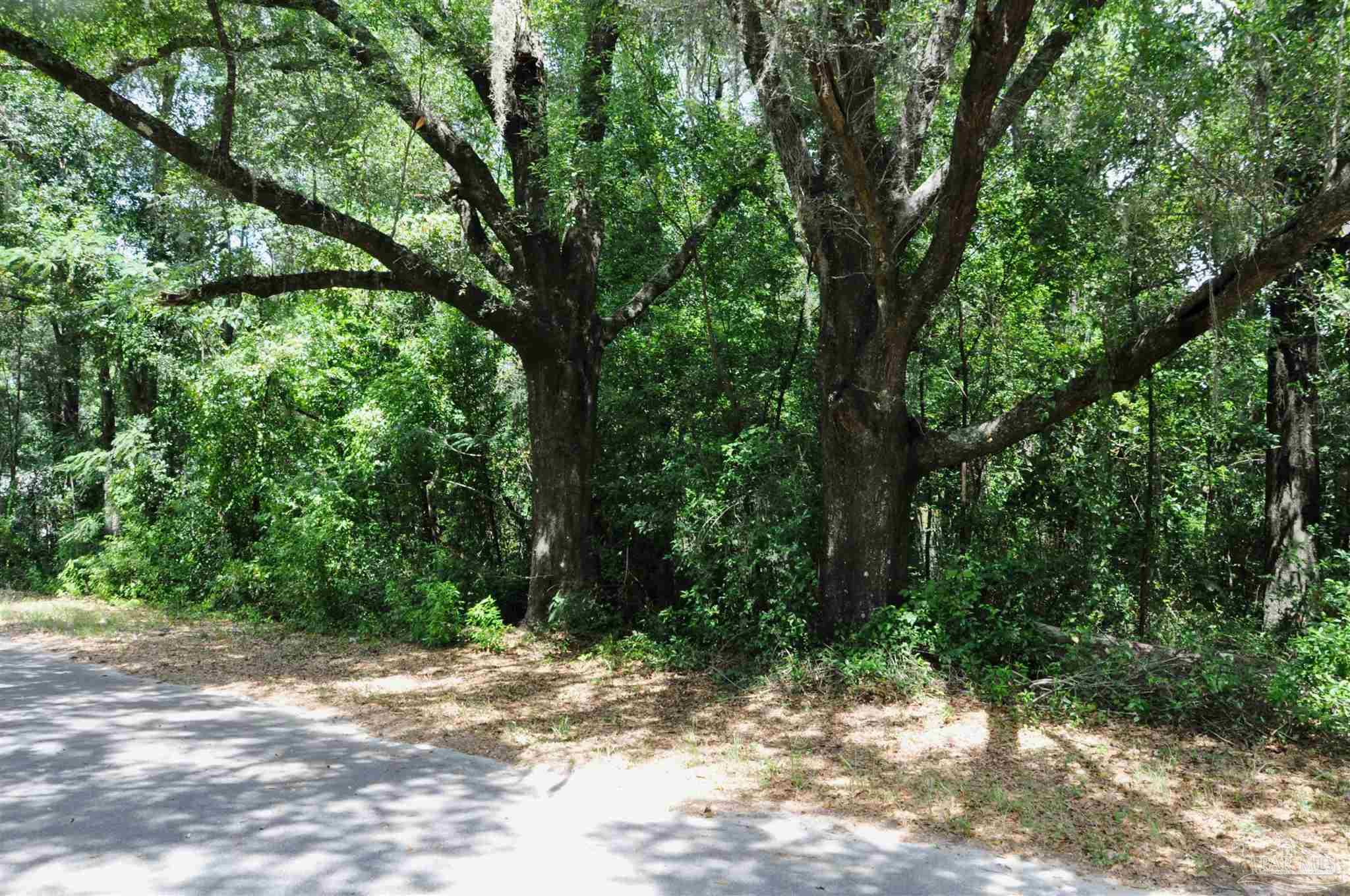 a view of a road with trees in the background