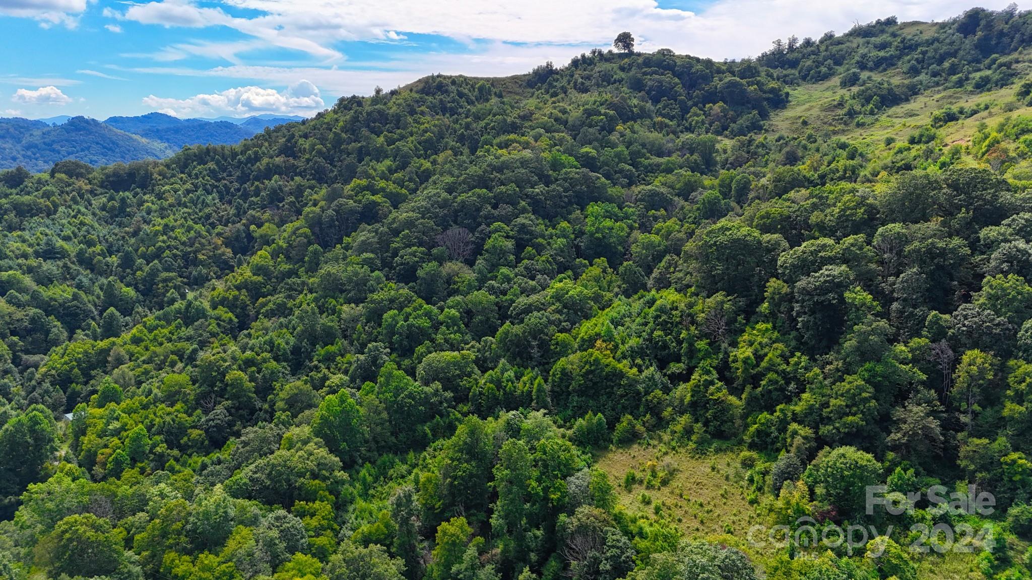 an aerial view of a houses with a lush green hillside