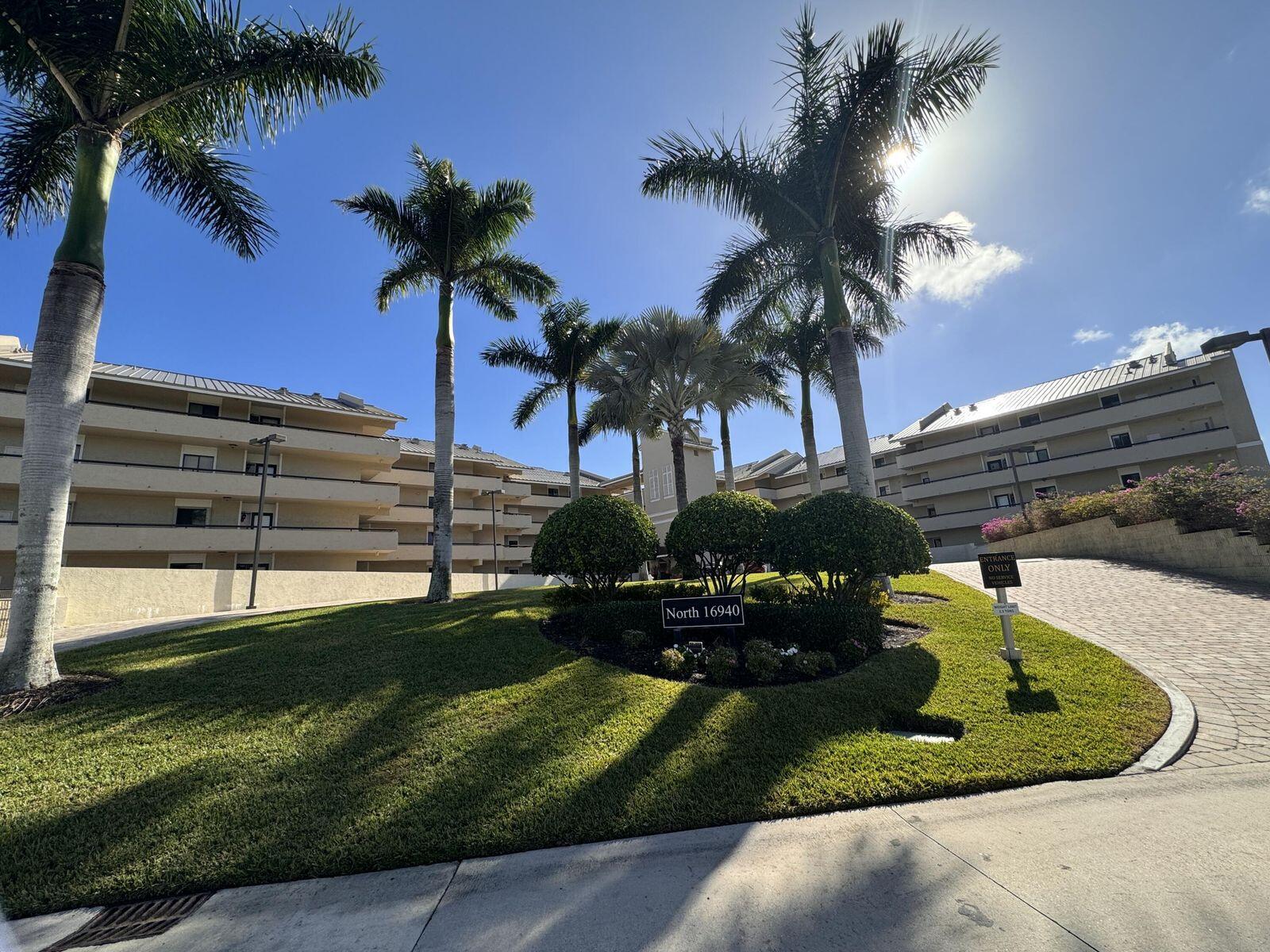 a view of a backyard with plants and palm trees