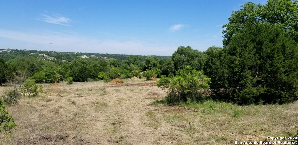 a view of a yard with a tree