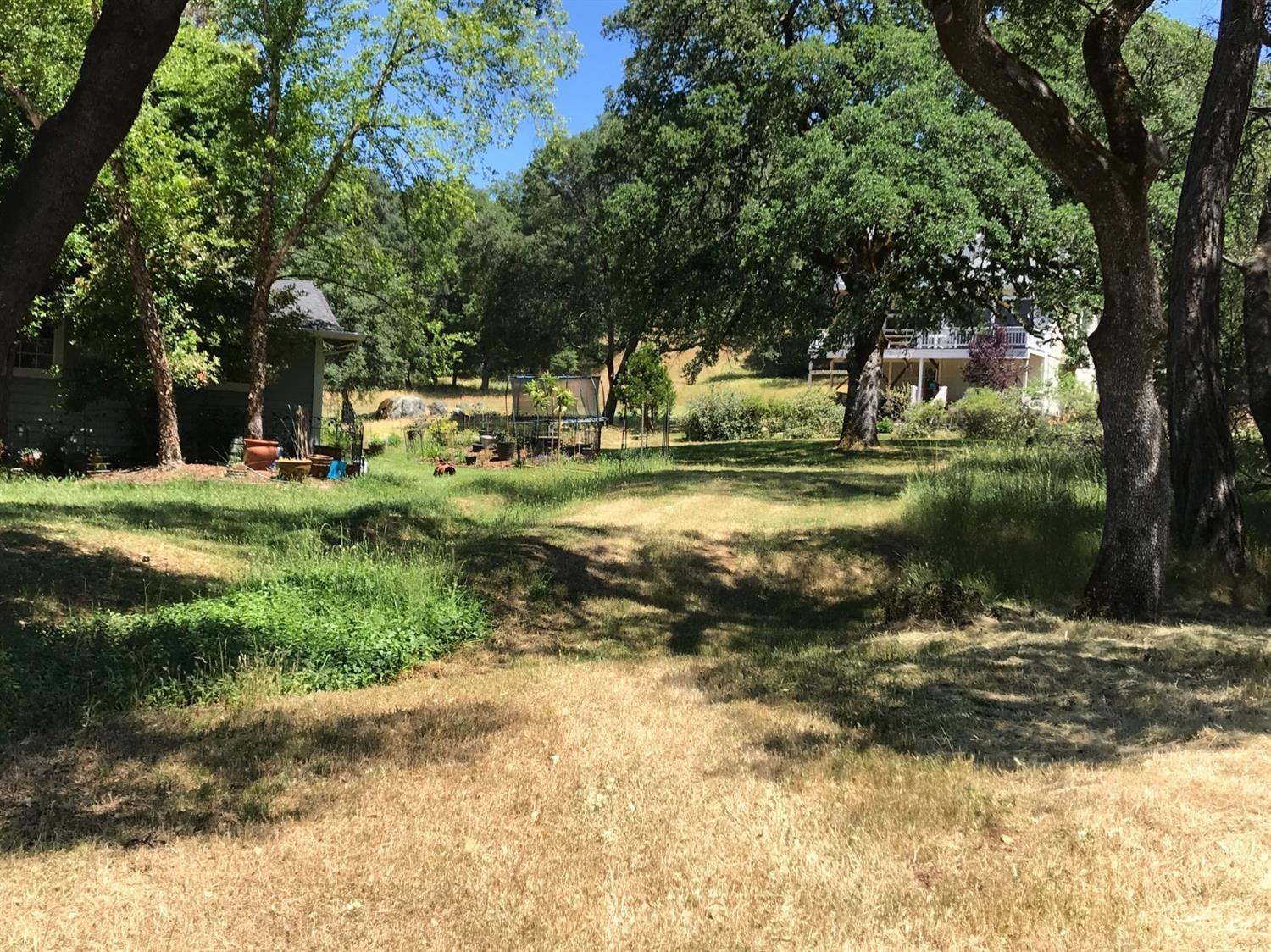 a view of a yard with plants and trees