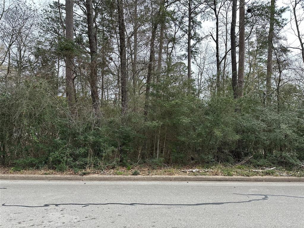 a view of a yard and tree s