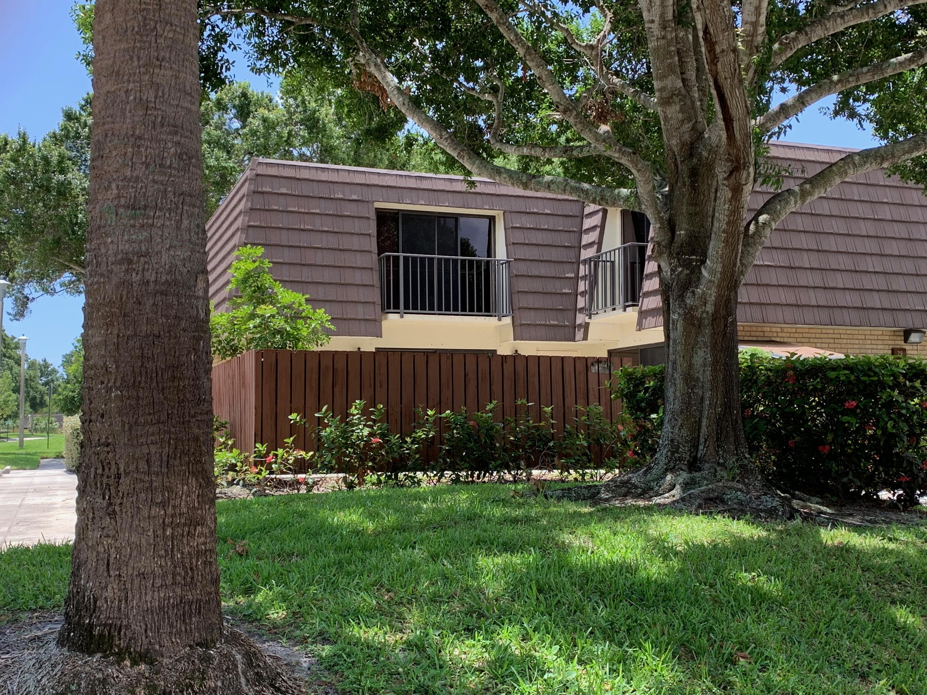 a view of a backyard with plants and large trees