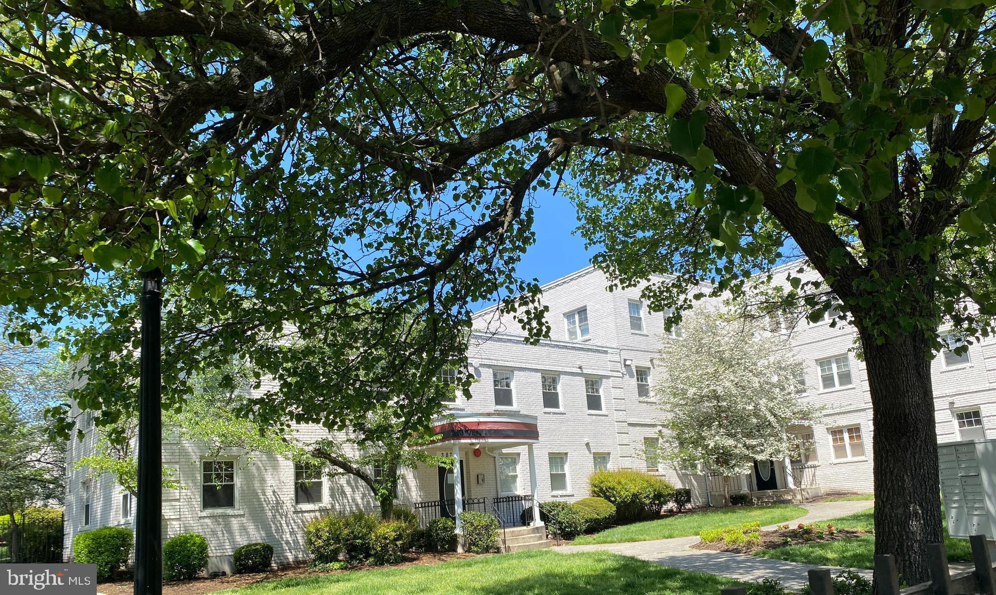 a view of house with yard