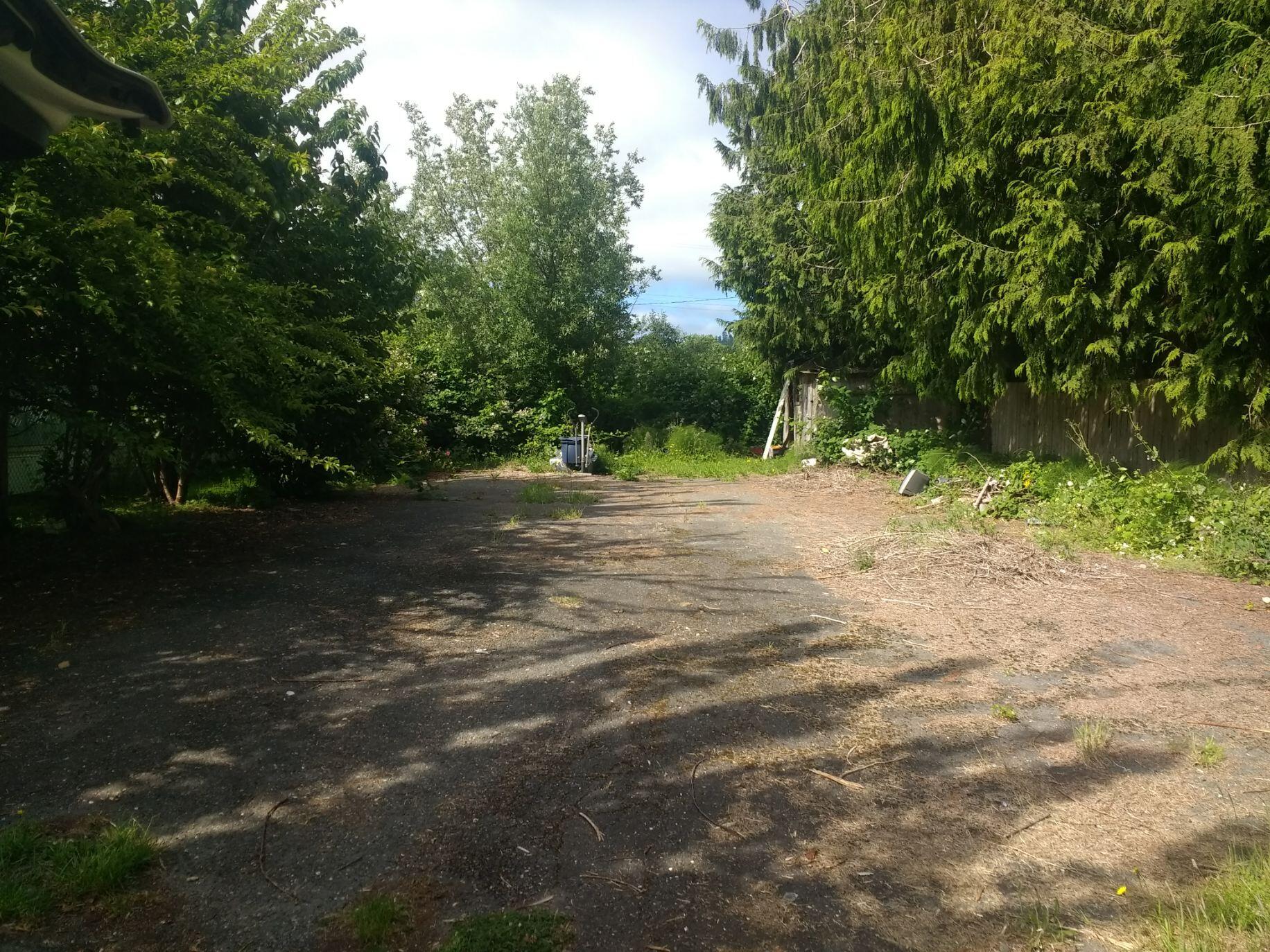 a view of a dirt road with trees in the background