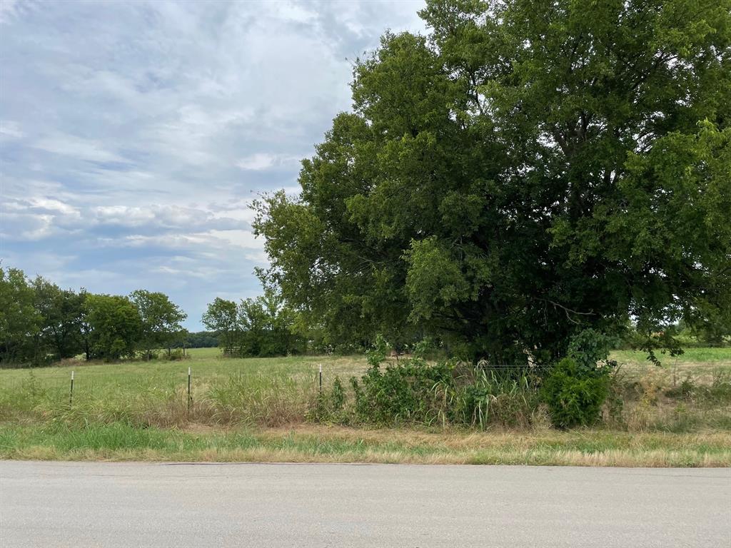 a view of a yard with a tree