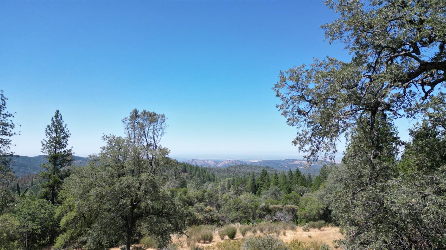 a view of a city with lush green forest