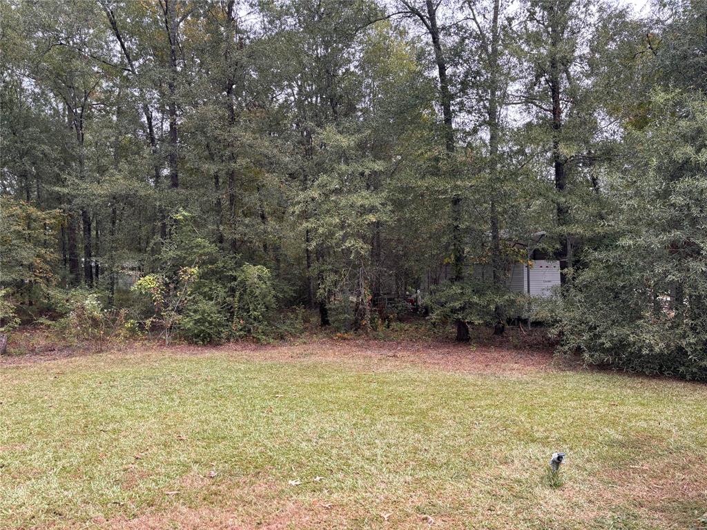 a view of outdoor space and yard