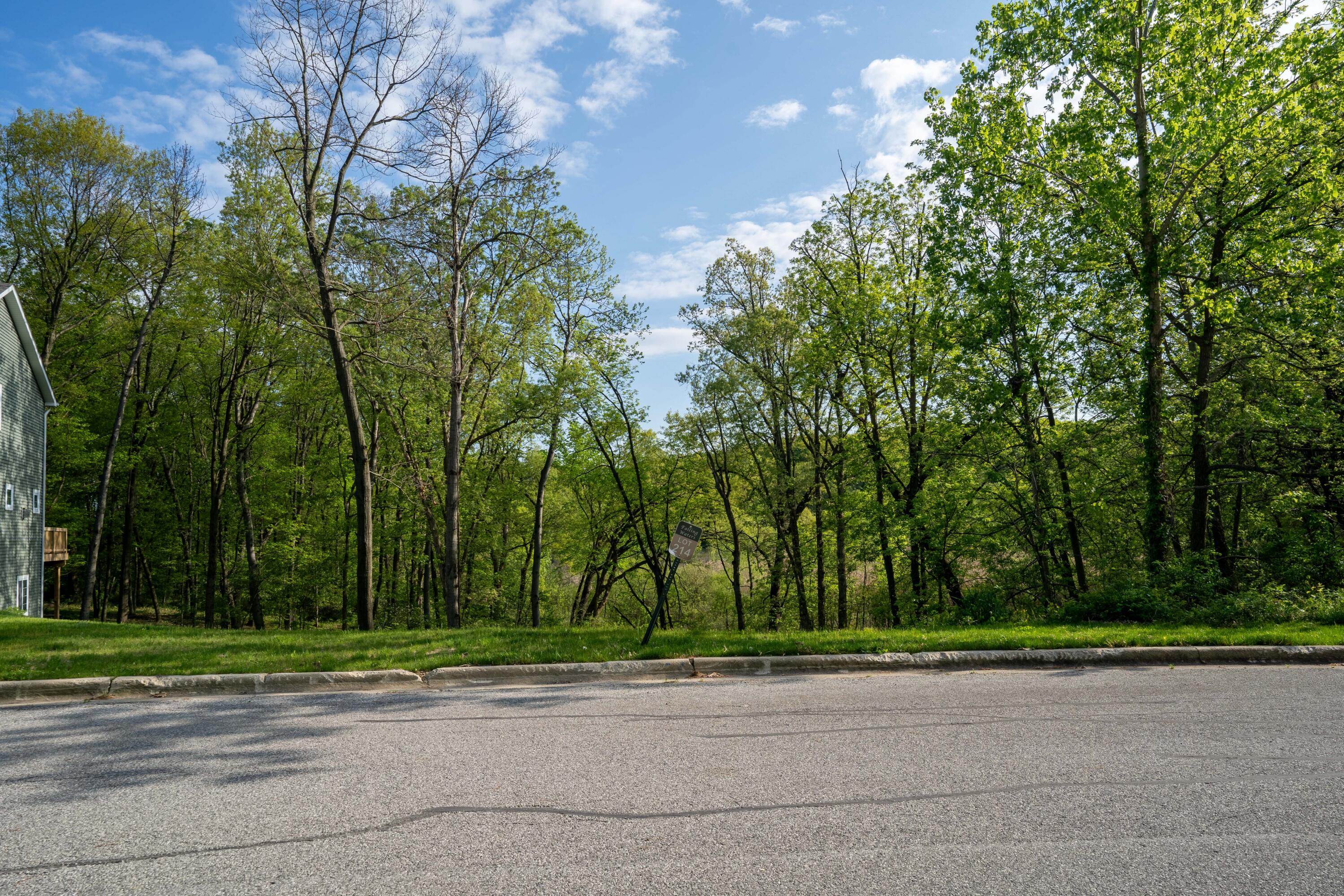 a view of a yard