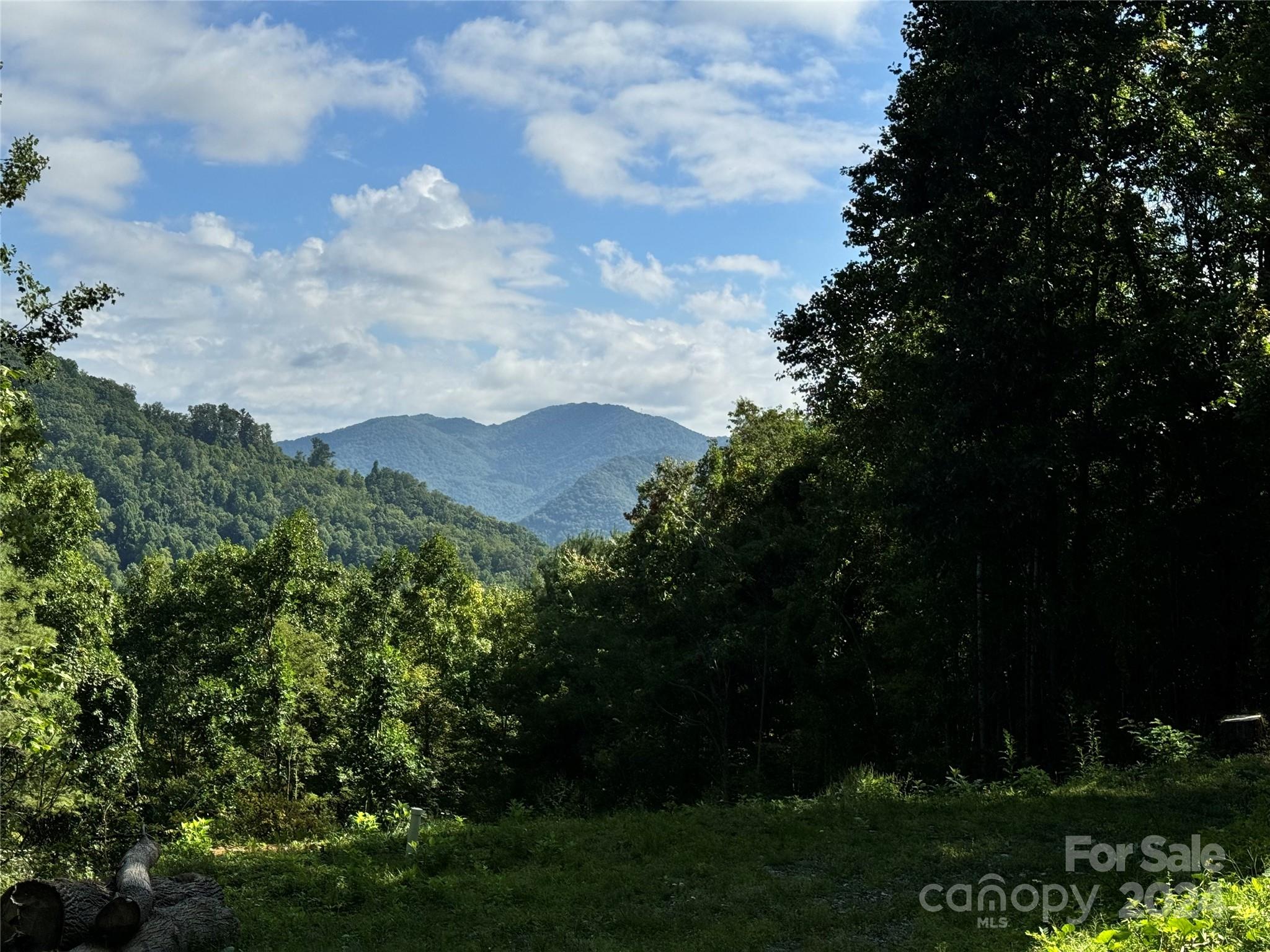 a view of a bunch of trees