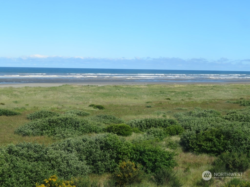 a view of an ocean and trees